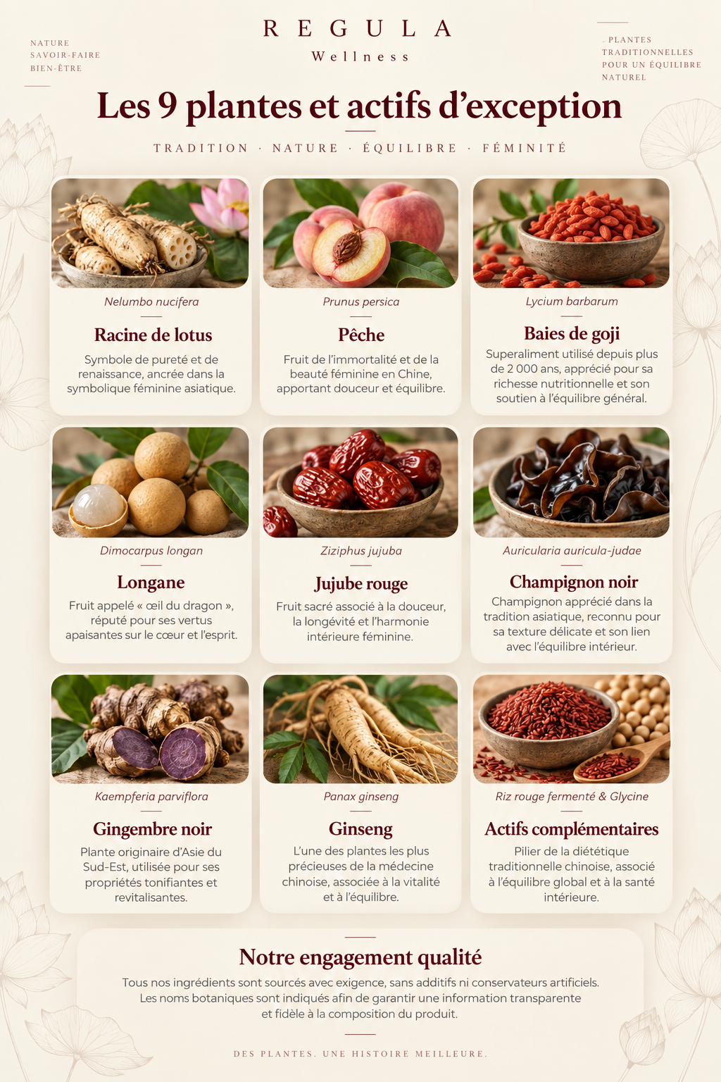 Ingrédients Regula Wellness, boisson instantanée composée de gingembre, ginseng, baies de goji et autres fruits